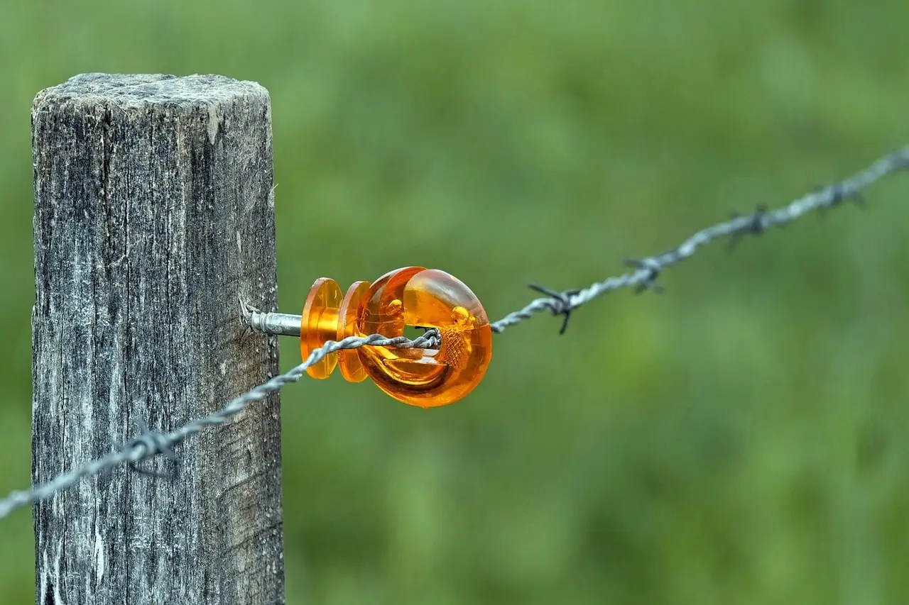 Barbed wire stapled to a weathered wood post
